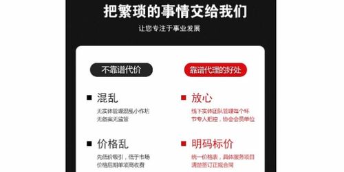 商務代理代辦服務 企業高效運營的加速器